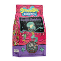 The front of a 12 ounce bag of Bones Coffee Company Souffle Symphony coffee. Its flavor is chocolate souffle, and it has Squidward and Plankton from SpongeBob SquarePants on the front.